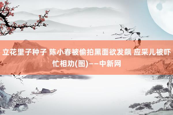 立花里子种子 陈小春被偷拍黑面欲发飙 应采儿被吓忙相劝(图)——中新网