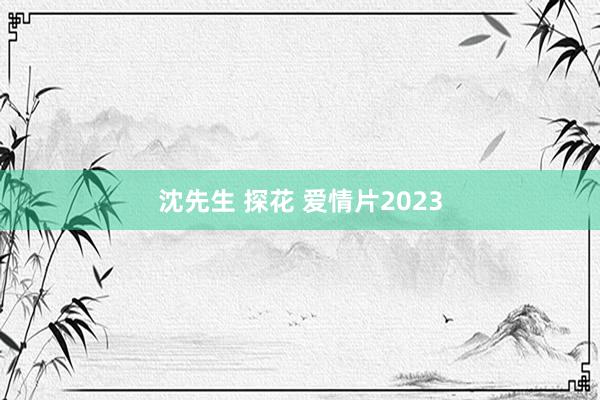 沈先生 探花 爱情片2023