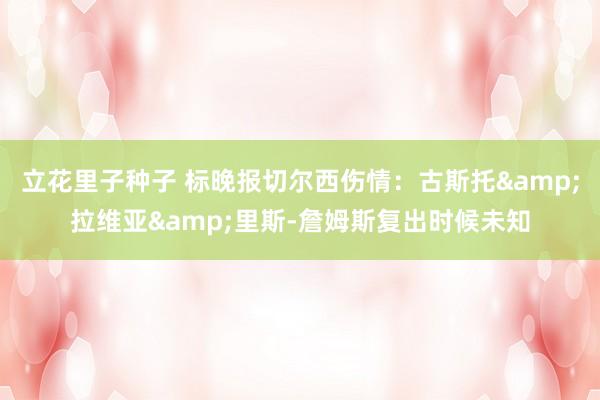 立花里子种子 标晚报切尔西伤情：古斯托&拉维亚&里斯-詹姆斯复出时候未知