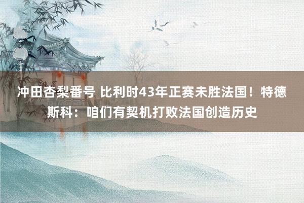 冲田杏梨番号 比利时43年正赛未胜法国！特德斯科：咱们有契机打败法国创造历史